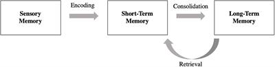 Examining Delayed Recall in Cochlear Implant Users Using the Montreal Cognitive Assessment, California Verbal Learning Test, Third Edition, and Item Specific Deficit Approach: Preliminary Results